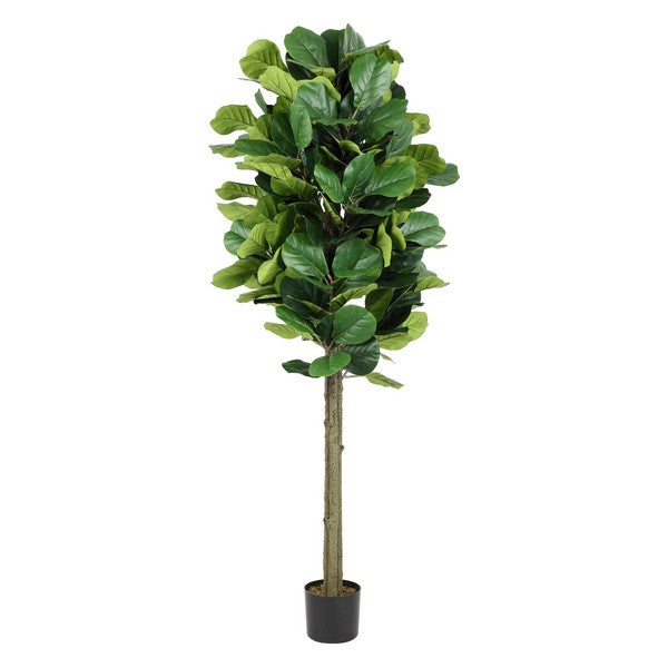 FALSCHES FIDDLE LEAF FIG 72 "POTTED WAHR